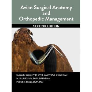 image:imageAvian Surgical Anatomy And Orthopedic Management 2nd Edition